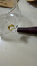 逍遙茶壺360度旋轉(zhuǎn)加厚耐高溫玻璃實木把手泡茶煮茶壺 逍遙壺透明 540ml 曬單實拍圖