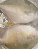環(huán)球水產(chǎn)冷凍南海金鯧魚2斤/2條 生鮮魚類 火鍋 深海魚 海鮮水產(chǎn) 家庭聚餐 曬單實(shí)拍圖