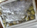 南步陜西大荔冬棗【順豐到家】特級(jí)牛奶蜜棗冰糖脆冬棗新鮮水果 1500g 精選特大果【單果20-25g】 曬單實(shí)拍圖