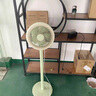 智品迪德國空氣循環(huán)空氣扇家用宿舍學(xué)生落地扇靜音電風(fēng)扇搖頭臺立兩用渦輪大風(fēng)力輕音落地扇 簡(jiǎn)易輕奢【高級綠】 曬單實(shí)拍圖