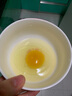 新鮮農(nóng)家土雞蛋特產(chǎn)散養(yǎng)柴雞蛋笨雞蛋谷物蛋高蛋白現(xiàn)撿現(xiàn)發(fā) 農(nóng)家土雞蛋30枚 曬單實(shí)拍圖