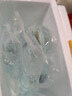 瘋狂水草迷你鸚鵡魚(yú)活體公母一對繁殖小魚(yú)苗觀(guān)賞魚(yú)活體小型熱帶魚(yú)好養耐活 混養套餐4條裝買(mǎi)3送1備損 曬單實(shí)拍圖