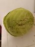 新鮮甘藍包菜卷心菜新鮮嫩綠蓮花白現(xiàn)摘現(xiàn)發(fā)早餐減脂 新鮮包菜 1.5-2斤 人工挑揀 曬單實拍圖