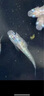 科森拓 多功能防摔掛繩適用于DJI大疆Action5pro/4/3掛脖繩相機Osmo配件防盜防丟快拆安全便攜手繩斜挎繩 橙黃色 曬單實(shí)拍圖