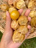桃西村東北姑娘果【順豐可選】菇?jīng)龉S金莓燈籠果黃菇娘小金豆新鮮水果 5斤 精選果【單果7-9g】順豐 曬單實(shí)拍圖