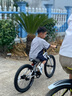 Nabiis那貝斯兒童自行車6-10-12歲鋁合金城市超輕青少年學(xué)生單車20寸銀 曬單實(shí)拍圖