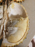榴小橔泰國進(jìn)口金枕頭榴蓮水果 新鮮巴掌帶殼榴蓮鮮果 凈重3-4斤裝（包3-4房） 曬單實拍圖