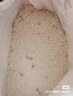 城市理享純木薯貓砂櫻花白茶2.5kg*4除臭近無(wú)塵易結(jié)團(tuán)不粘底植物防臭貓沙 曬單實(shí)拍圖