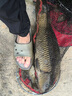 狼王遠投竿釣魚(yú)竿超硬碳素海桿拋竿釣魚(yú)竿甩竿釣魚(yú)桿單竿海竿套裝新品 天尊4.5米【發(fā)順豐】單竿 曬單實(shí)拍圖