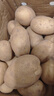 京覓 黃皮土豆 凈重9斤單果100g起 沙土地洋芋馬鈴薯新鮮蔬菜源頭直發(fā) 曬單實(shí)拍圖