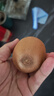 佳沛（zespri）新西蘭 陽(yáng)光金奇異果12粒禮盒特大果單果約122-146g 獼猴桃 水果 曬單實(shí)拍圖
