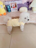 MIKI PAD狗狗衣服春夏季薄款包護肚衣絕育服術(shù)后防舔貓咪衣服透氣防掉毛 背心護肚衣-黃色#可做絕育服 M 胸圍40背長30（建議7-9斤） 曬單實拍圖