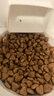 皇家室內成貓糧 I27 通用糧 12月以上 2KG 曬單實拍圖