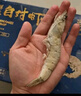 萬景北海鮮凍國產(chǎn)白蝦巨無霸 單凍無冰凈重3斤/盒 30-45只  燒烤海鮮 曬單實拍圖