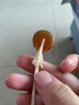 寶寶饞了枇杷秋梨膏棒棒糖無添加白砂糖兒童零食70g享嬰兒1-2歲輔食食譜 曬單實拍圖