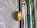 佳沛（zespri）新西蘭  陽光金奇異果16粒禮盒經(jīng)典果單果約 77-103g 水果 獼猴桃 曬單實拍圖