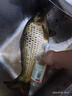 云飛魚無(wú)結(jié)競(jìng)技線組套裝釣魚線主線成品綁好黑坑大物主線組配件全套漁具 5.4米八字環(huán)款4卷【拉力提升】 2.0號(hào) 曬單實(shí)拍圖