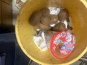 【米糧1號(hào)】正宗現(xiàn)在湘西綠心獼猴桃 新鮮時(shí)令獼猴桃整箱 30個(gè) 單果 70-90g 曬單實(shí)拍圖