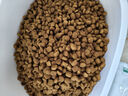 皇家處方犬糧DS37糧糖尿病成犬控體重調(diào)血糖皇家全價處方犬主糧 DS37/7KG 曬單實拍圖