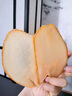 北海印象【北海館】特大響螺片250g淡干螺片鮑螺片海產(chǎn)品干貨煲湯材料 曬單實(shí)拍圖