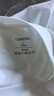 立蒙（LIMENG）男女裝素色180g全棉短袖t恤圓領寬松體恤打底衫 白色 L 曬單實拍圖