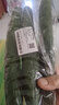 長(zhǎng)黃瓜約600g 曬單實(shí)拍圖