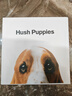 暇步士（Hush Puppies）【禮盒裝】皮帶男士針扣頭層牛皮生日禮物腰帶新款商務(wù)休閑送老公 【經(jīng)典款】HD-2111322W-502 120cm 曬單實(shí)拍圖