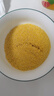 十月稻田 敖漢小米2.5kg 金苗K1 內(nèi)蒙古赤峰 粥米新米 優(yōu)級(jí)黃小米 雜糧5斤 曬單實(shí)拍圖