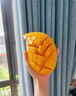 海南金煌芒水仙芒果9斤新鮮熱帶水果應(yīng)當季現(xiàn)摘大青甜心芒整箱 5斤 精選特大果【400g+】 曬單實拍圖