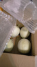 山東冰淇淋玉菇甜瓜軟糯香甜 單果750g+ 京東快遞 更快更好 7-7.5斤裝單果600g起 曬單實(shí)拍圖