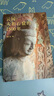 云岡：人和石窟的1500年（陳丹青推薦。從北魏到AI時(shí)代，一本書了解云岡石窟的前世今生） 曬單實(shí)拍圖