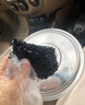 博多客野生烏飯葉 新鮮烏稔葉 烏米南燭葉黑米飯大烏葉頭茬幼芽榨汁食用1斤 曬單實(shí)拍圖