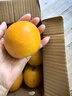 【25年鮮橙】湖北秭歸夏橙榨汁橙8甜2酸 帶箱2斤大果 曬單實(shí)拍圖