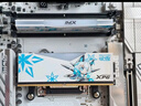威剛（ADATA）96GB(48GBX2)套裝 DDR5 6400 臺式機內(nèi)存條 新海力士M-die顆粒 XPG龍耀D500G 吹雪聯(lián)名C32 曬單實拍圖