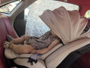 nadoO6MAX兒童汽車安全座椅0-7歲嬰兒車載座椅360度旋轉(zhuǎn)安全座椅 小金龍-Max內(nèi)墊通風款 O6max 曬單實拍圖