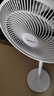 美的（Midea）電風(fēng)扇 家用七葉立式落地扇宿舍臥室輕音節(jié)能搖頭桌面小風(fēng)扇大風(fēng)力空氣循環(huán)風(fēng)扇 SAF30AC  曬單實(shí)拍圖
