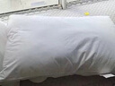 颯望德國枕頭護(hù)頸枕睡眠頸椎病希爾頓同款五星級酒店專用深度睡眠專用 米白色【穩(wěn)固支撐 慢回彈】 單只 曬單實拍圖