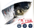 鮮喜愛 冷凍千島湖有機鰱魚頭1.5斤 白鰱魚頭  生鮮魚類 海鮮水產 曬單實拍圖