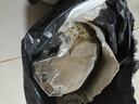 老韓釣魚(yú)香糠底窩料米糠麩子皮野釣鯽魚(yú)鯉魚(yú)純油糠餅渣黑坑魚(yú)餌打窩料 5斤裝純香糠 天然谷香 聚窩好料 曬單實(shí)拍圖