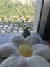陶瓷小花瓶干花滿天星創(chuàng)意哥窯水培綠蘿花瓶擺件客廳插花家居裝飾 YS-新哥窯-石榴瓶(綠色) 曬單實(shí)拍圖