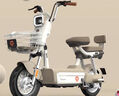 雅迪（yadea）新國標(biāo)電動自行車C20長續(xù)航電動車48V24Ah鋰電電池通勤上班代步智能車男女電瓶車燕麥暖棕 曬單實拍圖