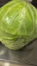 包菜新鮮卷心菜大頭菜農(nóng)戶自種當(dāng)季綠葉蔬菜綠甘藍(lán) 綠甘藍(lán) 5斤 曬單實(shí)拍圖