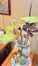 蓮蓬干花花束真花擺件客廳擺設(shè)花瓶裝飾品風(fēng)干荷葉荷花天然新中式 愛蓮干花組合020 干花包 曬單實(shí)拍圖