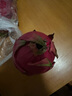 京鮮生 紅心火龍果超大果10粒裝 單果400g 凈重8斤禮盒 生鮮水果 曬單實拍圖