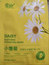 季泉正品美白面膜小雛菊白睡蓮山茶花補(bǔ)水保濕提亮膚色控油面膜 小雛菊面膜【第三代 曬單實(shí)拍圖