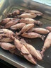 滿(mǎn)籽海兔籽烏帶籽筆管魚(yú)全籽熟凍墨魚(yú)仔小魷魚(yú)海鮮水產(chǎn)火鍋食材 8斤 450g(凈重） 一斤10只 曬單實(shí)拍圖