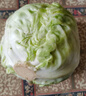 新鮮甘藍(lán)包菜卷心菜新鮮嫩綠蓮花白現(xiàn)摘現(xiàn)發(fā)早餐減脂 新鮮包菜 1.5-2斤 人工挑揀 曬單實拍圖