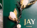 Jay 玉蘭花和田玉胸針胸花母親節(jié)送長輩媽媽生日禮物七夕情人節(jié)禮物 曬單實拍圖