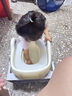 灝琦兒童馬桶坐便器寶寶小馬桶1-3歲幼兒輔助器階梯折疊坐便圈3-6歲 【PU軟坐墊】銀月灰 曬單實(shí)拍圖