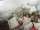 萬(wàn)寶【順豐包郵】冰柜商用冷藏冷凍兩用 冰柜大容量節能冷柜 冷凍柜冷藏柜 雙溫冰柜 雪糕柜臥式冰柜 1168單溫銅管【自動(dòng)除霜省電款】2.0米加寬 曬單實(shí)拍圖